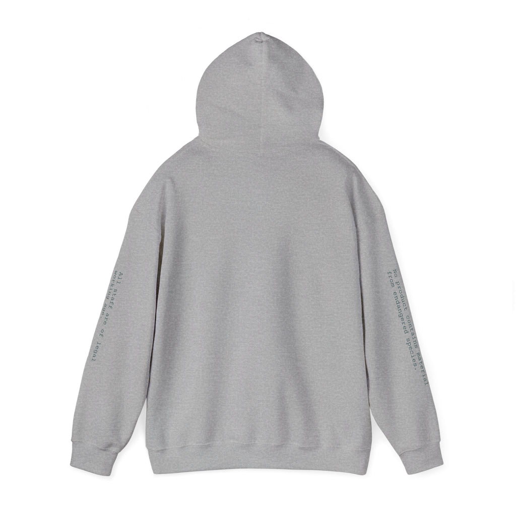 SWEATSHIRT, HOODED, UNISEX — STANDARD ISSUE