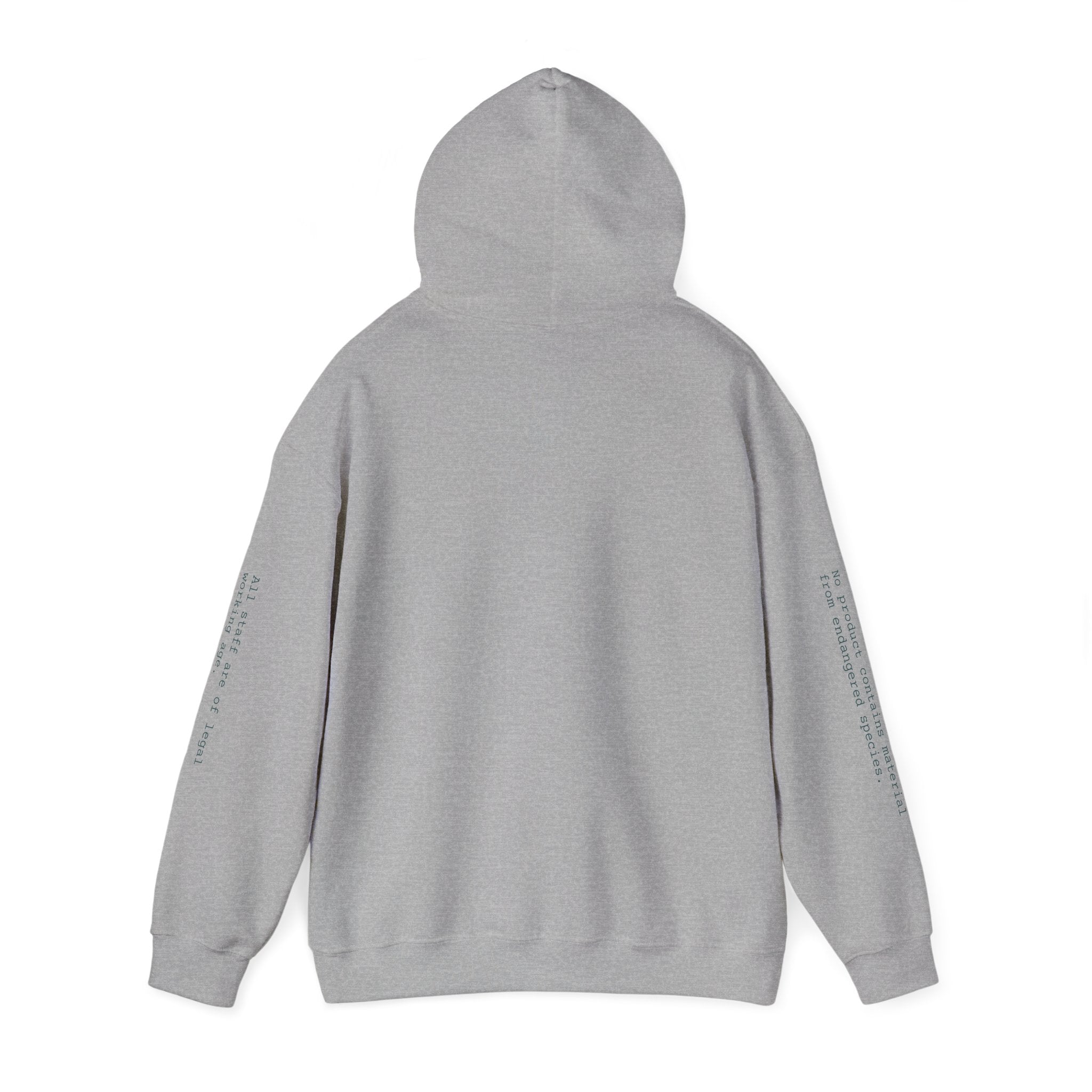 SWEATSHIRT, HOODED, UNISEX — STANDARD ISSUE