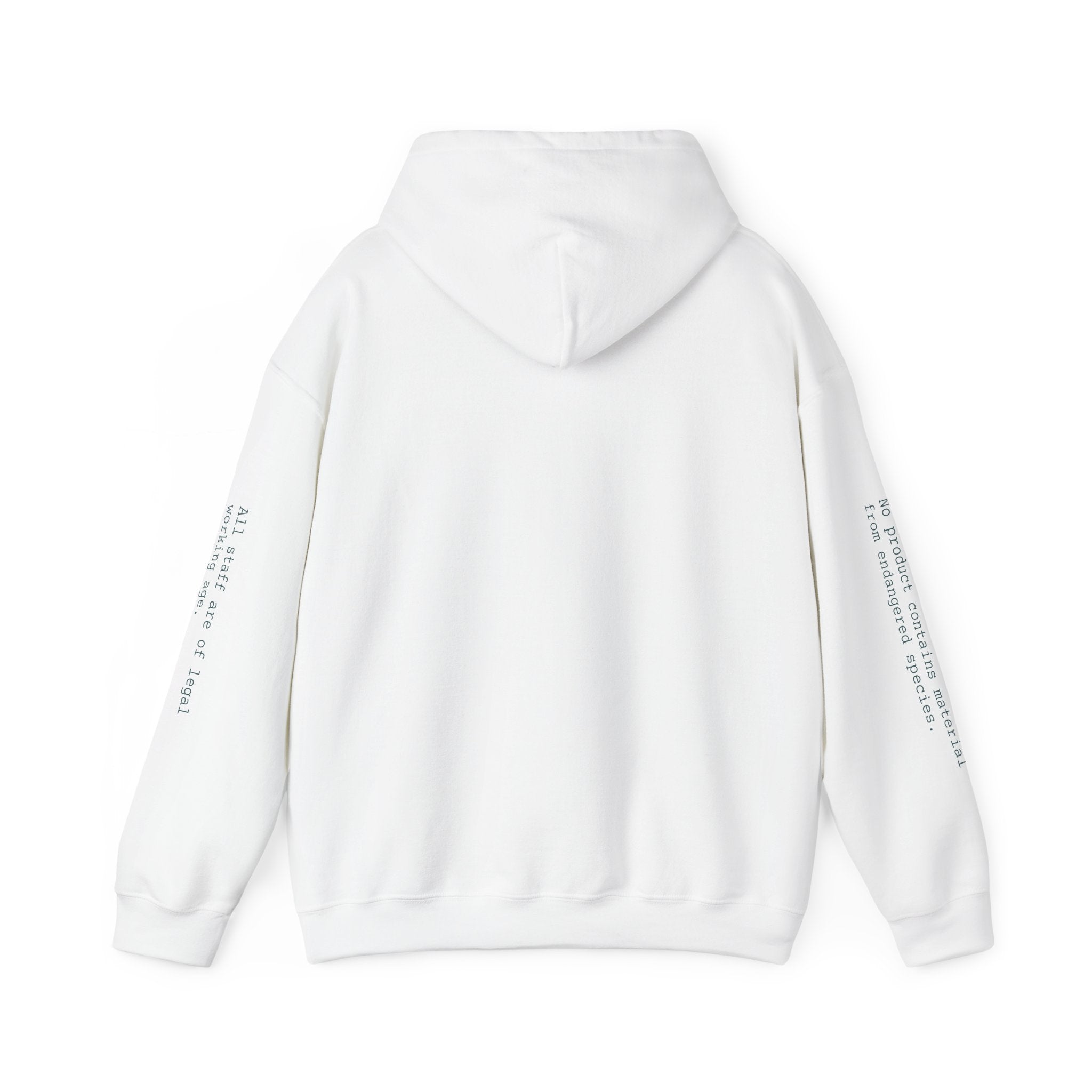 SWEATSHIRT, HOODED, UNISEX — STANDARD ISSUE