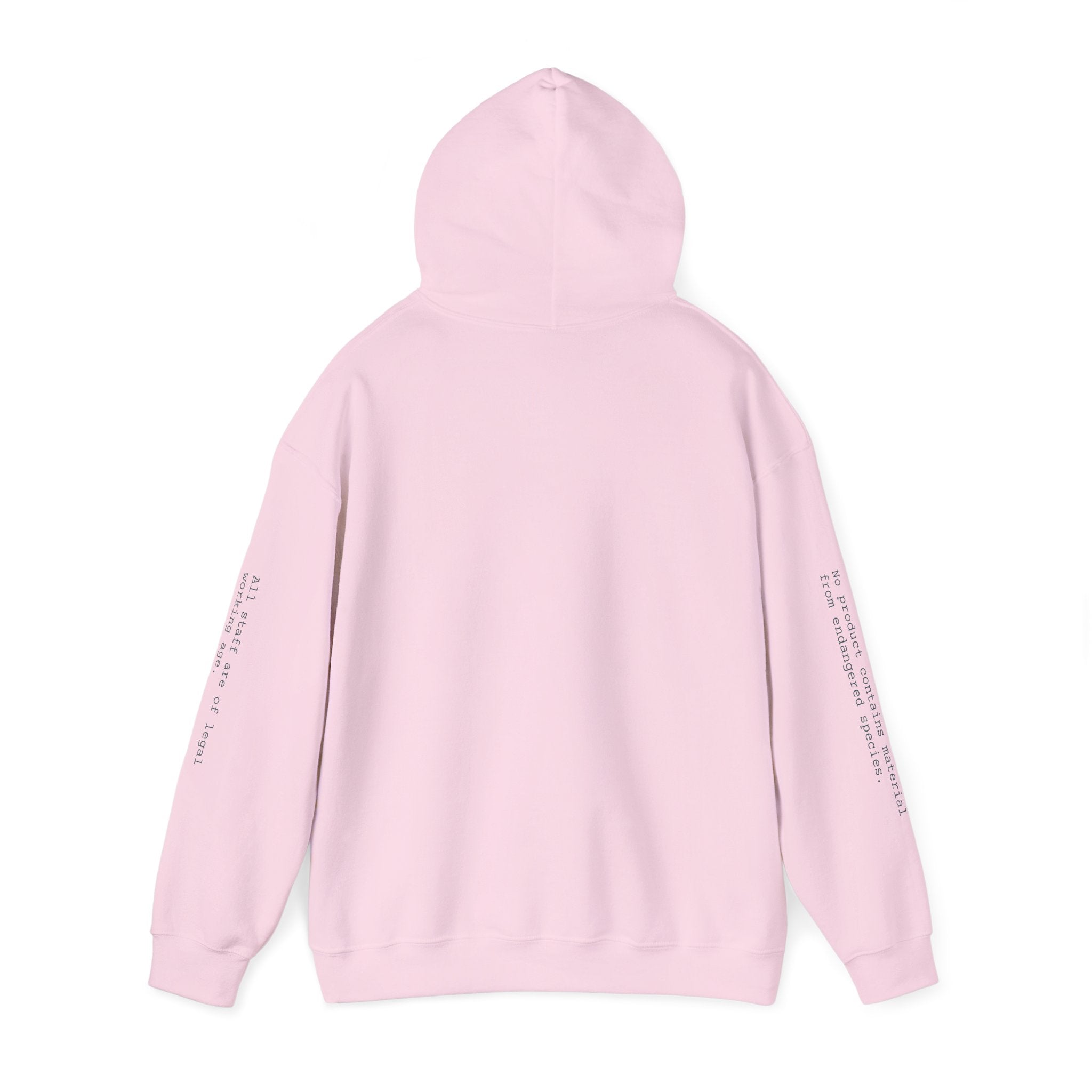 SWEATSHIRT, HOODED, UNISEX — STANDARD ISSUE