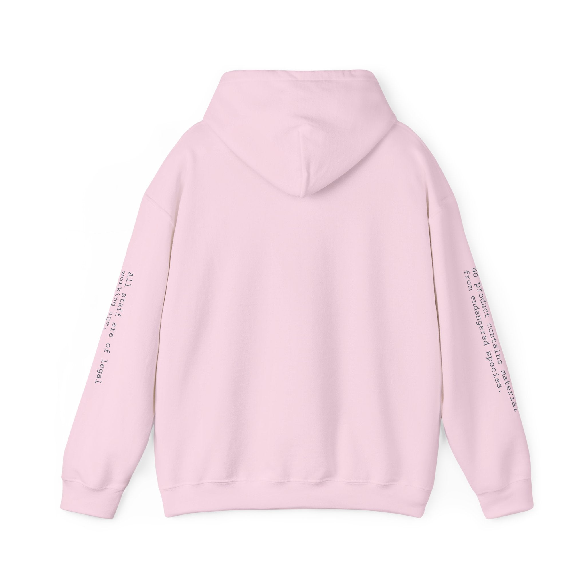 SWEATSHIRT, HOODED, UNISEX — STANDARD ISSUE