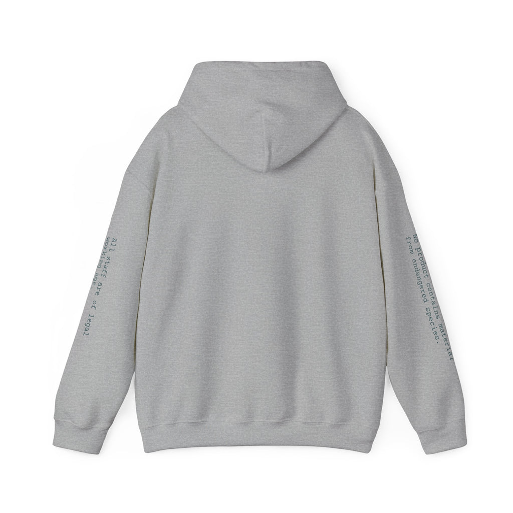 SWEATSHIRT, HOODED, UNISEX — STANDARD ISSUE