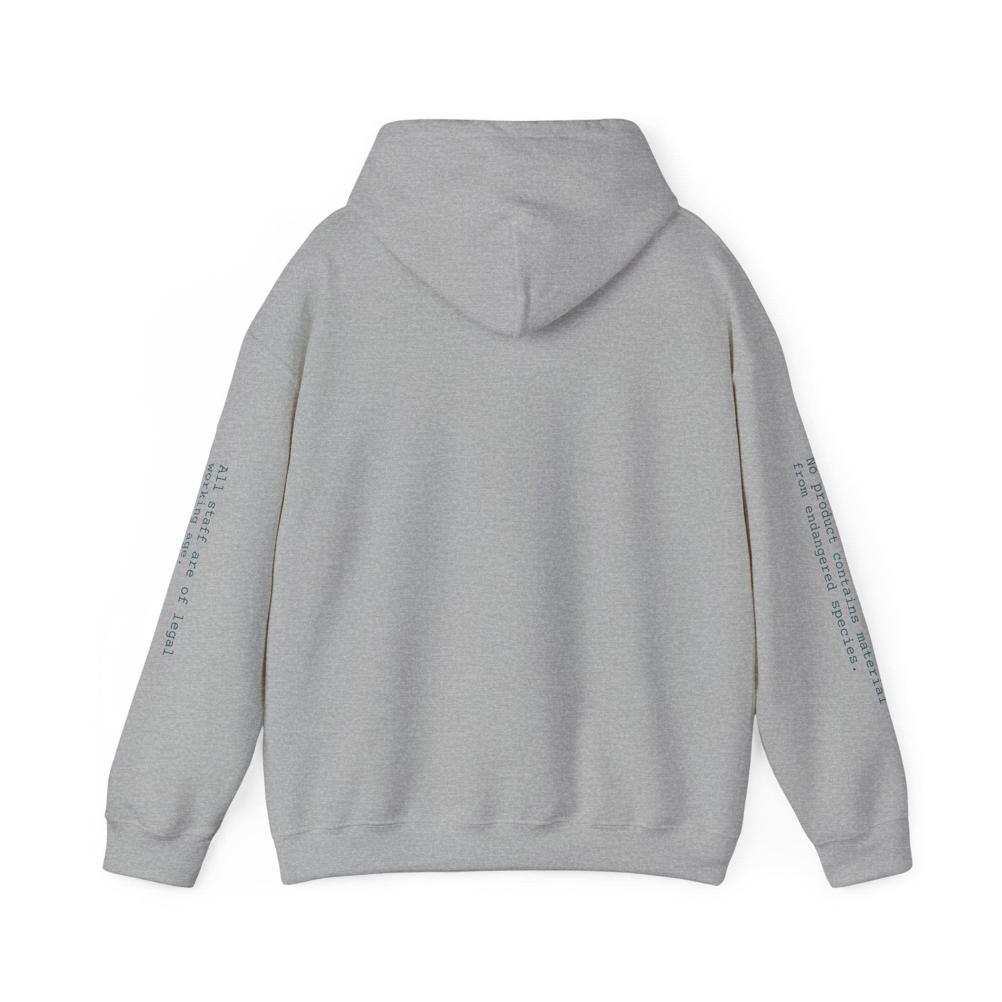 SWEATSHIRT, HOODED, UNISEX — STANDARD ISSUE